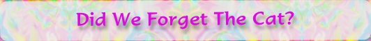 Did We Forget The Cat?

