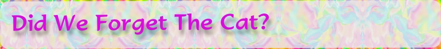 Did We Forget The Cat?

